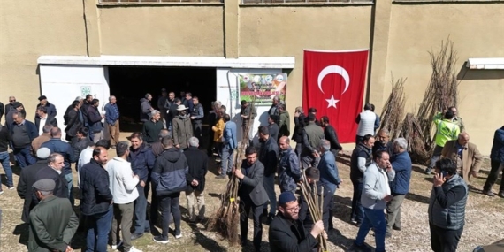 Erciş’te meyve fidanı dağıtıldı
