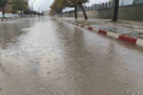erciste-yagmur-yagisi-etkili-oldu-kG7ORNaa.jpg