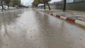 erciste-yagmur-yagisi-etkili-oldu-kG7ORNaa.jpg