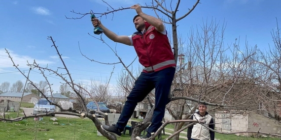 Van’da meyve ağaçları için budama eğitimi