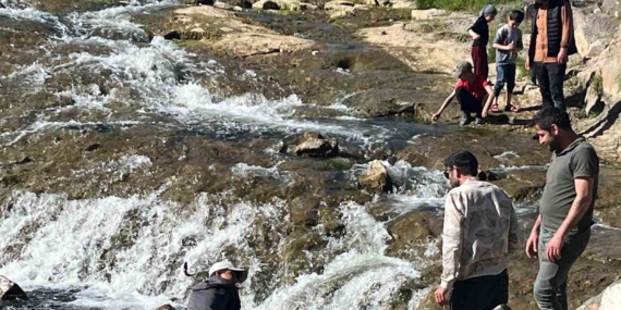 İnci kefalinin göçü yerli ve yabancı turistlerin ilgi odağı oldu