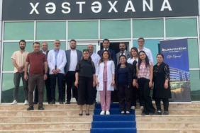 lokman-hekim-hastanesinden-nahcivana-cikarma-zWARQ78z.jpg