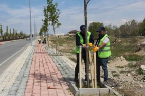 van-buyuksehir-belediyesinden-sahil-yolunda-calisma-tw4tEyTn.jpg