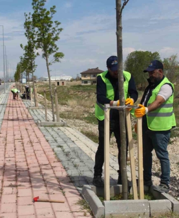 van-buyuksehir-belediyesinden-sahil-yolunda-calisma-tw4tEyTn.jpg
