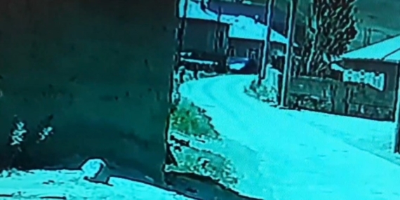 Özalp’ta kamyonet duvara çarptı, çocuklar korkuyla kaçtı