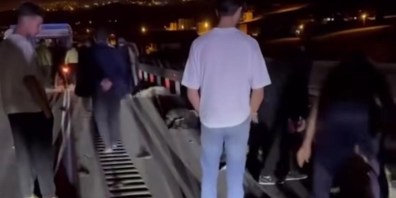 Van’da hafif ticari kamyonet sürüye çarptı; 8 koyun telef oldu