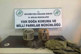 vanda-kacak-keklik-avlayan-bir-kisiye-49-bin-219-lira-ceza-jkgL6kXT.jpg