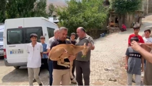 dag-kecisi-yetkililere-teslim-edildi-sCexSRGN.jpg