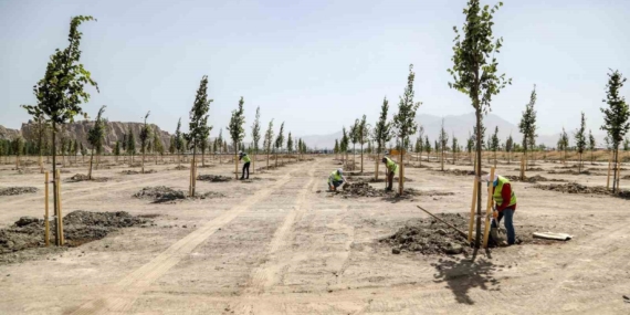 Van Büyükşehir Belediyesi Ihlamur Parkı’yla kente renk katacak