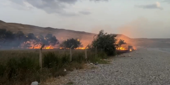 Van’da ağaçlık alanda yangın