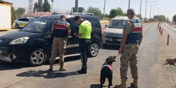 Van’da farklı suçlardan aranan 20 kişi tutuklandı