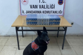 vanda-kacak-sigara-ve-elektronik-malzeme-ele-gecirildi-r68bYWj9.jpg