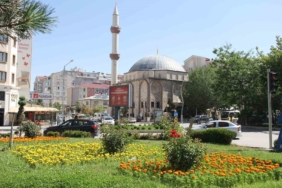vandaki-cadde-ve-kavsaklar-cicek-acti-eeypsIEU.jpg