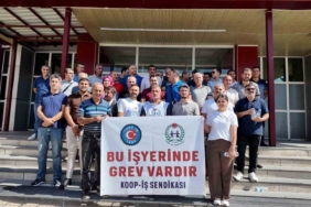 ercis-sydv-calisanlari-greve-basladi-akGUPRPB.jpg