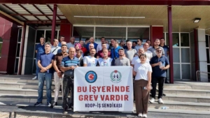 ercis-sydv-calisanlari-greve-basladi-akGUPRPB.jpg