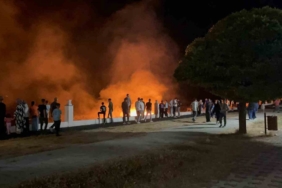 erciste-aniz-yangini-i4buTZHG.jpg