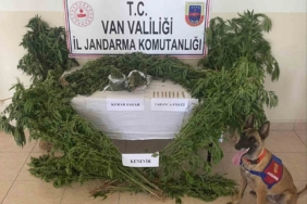 evin-catisina-kenevir-ekti-gJz2c8Ua.jpg