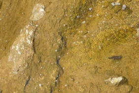 muradiye-bendimahi-cayinda-su-seviyesi-dustu-siraz-baligi-yavrulari-tehlikede-EZIJZI1m.jpg