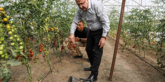 Van’da ata tohum ile elde edilen ürünlerin hasadı yapıldı
