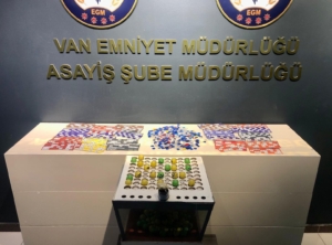 vanda-kesinlesmis-hapis-cezasi-bulunan-110-kisi-tutuklandi-3xgWS1IC.jpg