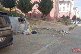tusbada-yol-ve-cop-sorunu-vatandaslari-biktirdi-3yfjzHdc.jpg