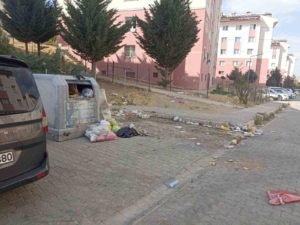 tusbada-yol-ve-cop-sorunu-vatandaslari-biktirdi-3yfjzHdc.jpg