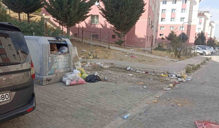 tusbada-yol-ve-cop-sorunu-vatandaslari-biktirdi-3yfjzHdc.jpg