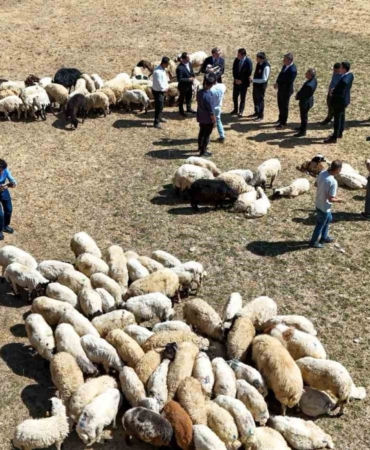 vali-balci-ciftcilerimize-240-bin-koyun-verdik-ttCBnexy.jpg
