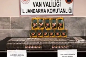 vanda-720-paket-kacak-sigara-ele-gecirildi-mXD4tebn.jpg
