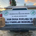 vanda-kafes-avciligi-yapan-sahsa-48-binlira-cezai-islem-uygulanacak-b1GNr1B7.jpg
