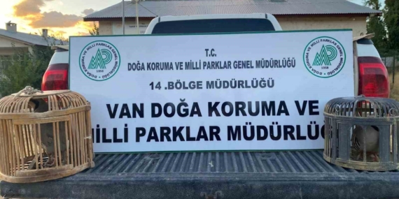 Van’da kafes avcılığı yapan şahsa 48 binlira cezai işlem uygulanacak