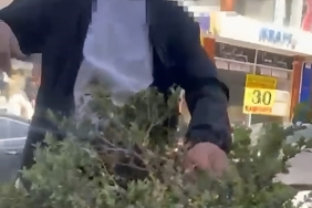 vanda-refujdeki-cicek-ve-fidanlara-zarar-veren-sahis-sucustu-yakalandi-FsEZxGZz.jpg