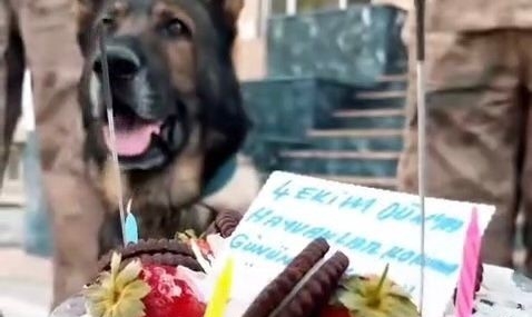 Jandarmadan ‘can dostlara’ özel kutlama