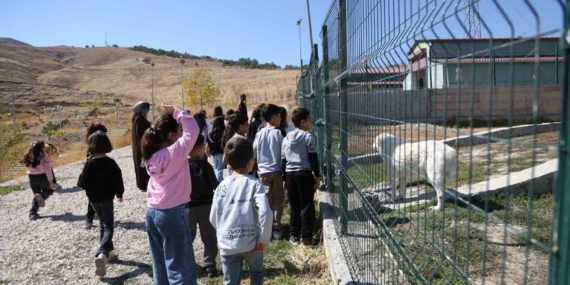 Minik öğrenciler patili dostlarını ziyaret etti