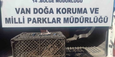 vanda-kafes-avciligi-yapan-sahsa-53-bin-lira-cezai-islem-uygulanacak-cD4MR9md.jpg