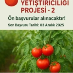 muradiyede-domates-yetistiriciligi-projesi-icin-on-basvurular-basladi-dqITcnHH.jpg