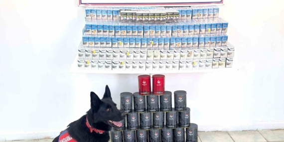 Van’da kaçak sigara ve çay ele geçirildi