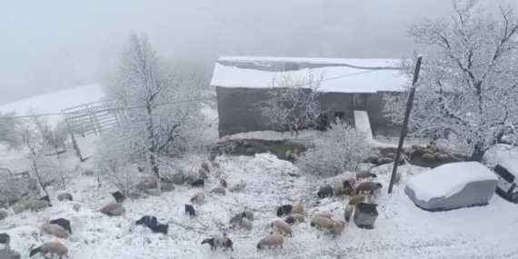 Bahçesaray’da kar yağışı