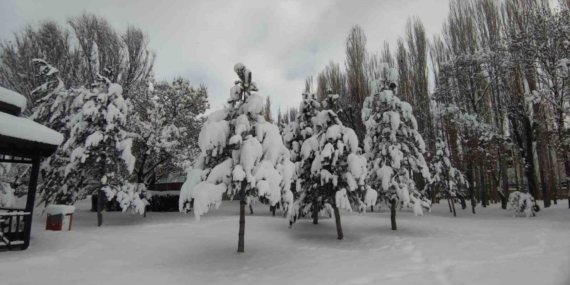 Van’da karla gelen güzellik: Ağaçlar kartpostallık manzaralar oluşturdu