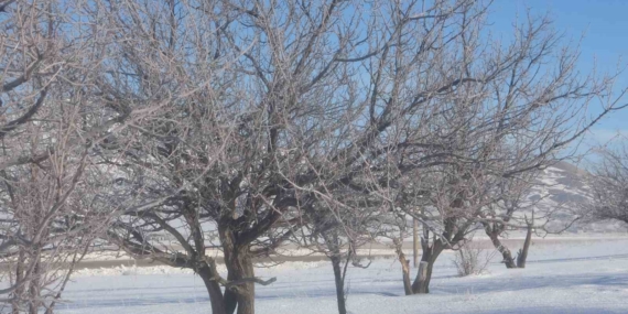 Van’da Sibirya soğukları hayatı olumsuz etkiliyor