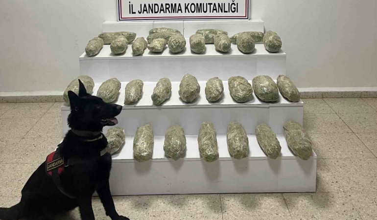baskalede-21-kilo-350-gram-skunk-ele-gecirildi-zzJkxQgA.jpg