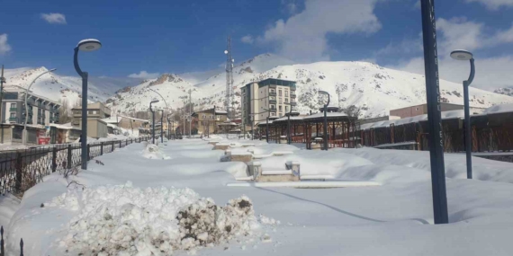 Başkale’de kar yağışı