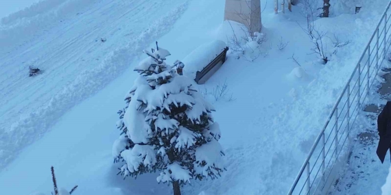 Erciş’te kar yağışı