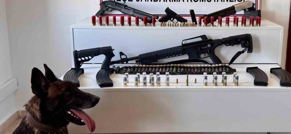 erciste-ruhsatsiz-silah-ele-gecirildi-68XAvSAZ.jpg
