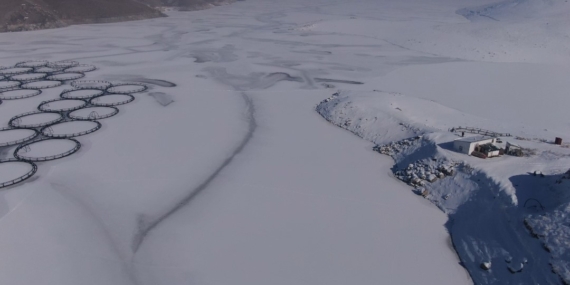 Van’da Sibirya soğukları: Dev barajlar buz tuttu