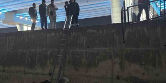 Van’da trafik kazası: 1 yaralı