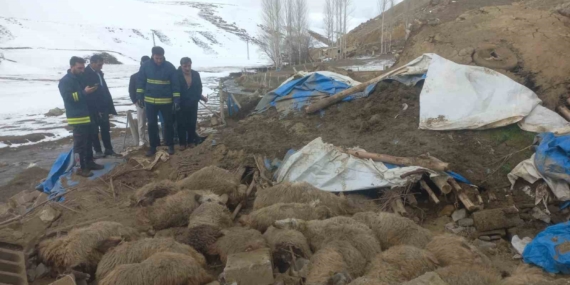 Van’da ahır çöktü, 23 küçükbaş hayvan telef oldu