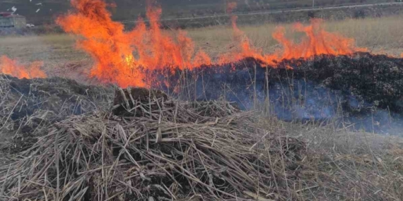 Van’ın Gevaş ilçesinde anız yangını