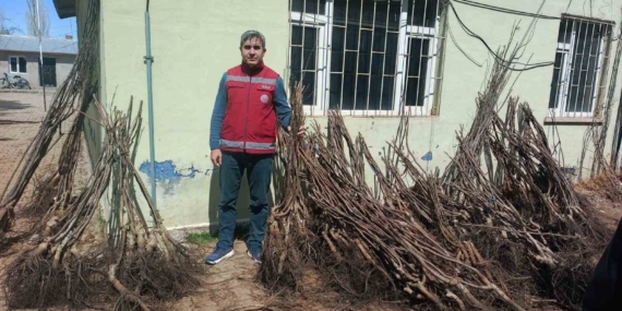 muradiyede-yuzde-90-hibeli-50-bin-adet-meyve-fidani-dagitimi-yapildi-hOQxkaeb.jpg