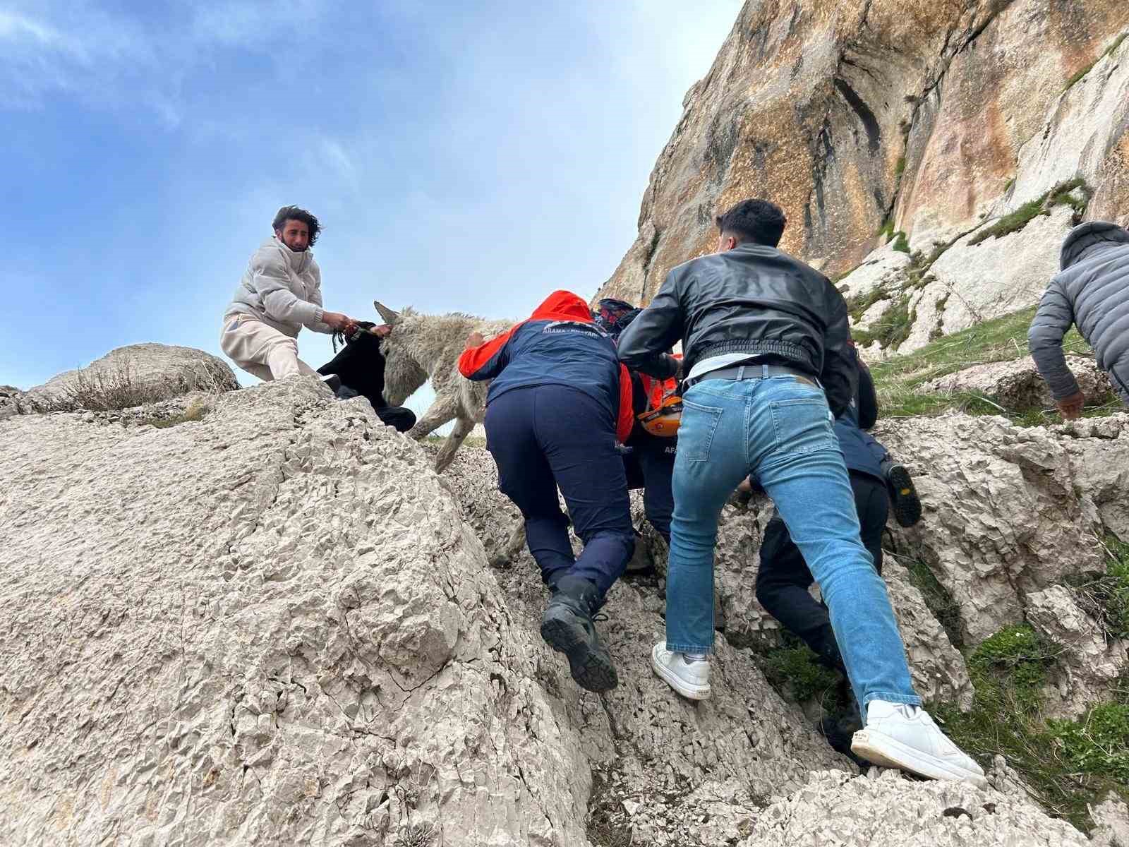 Van’da kayalıklarda mahsur kalan eşek kurtarıldı